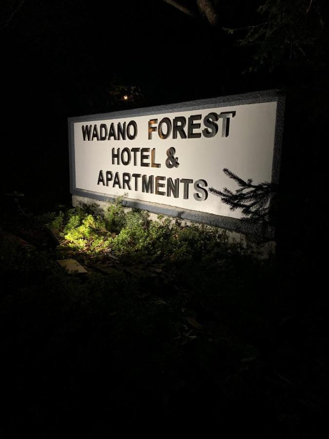 Wadano Forest Hotel & Apartments Hakuba Exterior photo