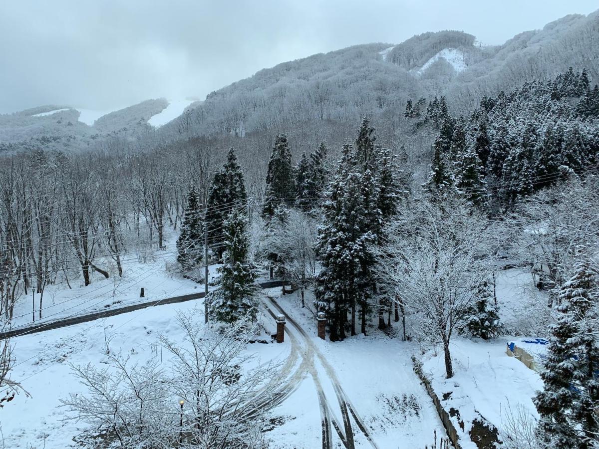 Wadano Forest Hotel & Apartments Hakuba Exterior photo